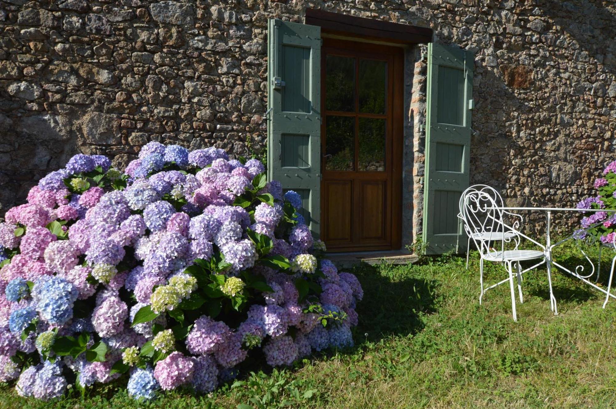 Bed and Breakfast Mas Des Druilles Generargues Zewnętrze zdjęcie